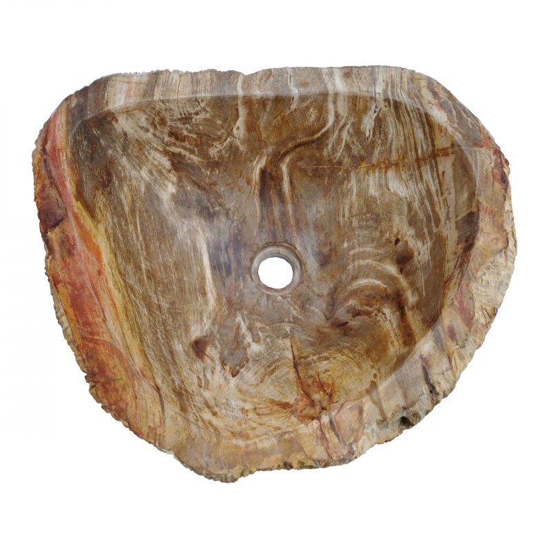 Waschbecken Steinwaschbecken Fossiles Holz EW55777-2