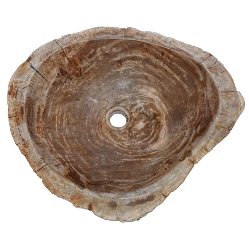 Waschbecken Steinwaschbecken Fossiles Holz EW88586-2