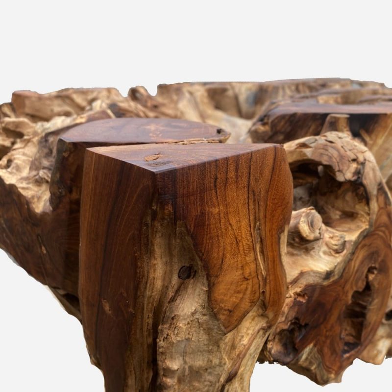 Couchtisch Wohnzimmertisch Wurzeltisch Massivholz Teak Detailansicht 2