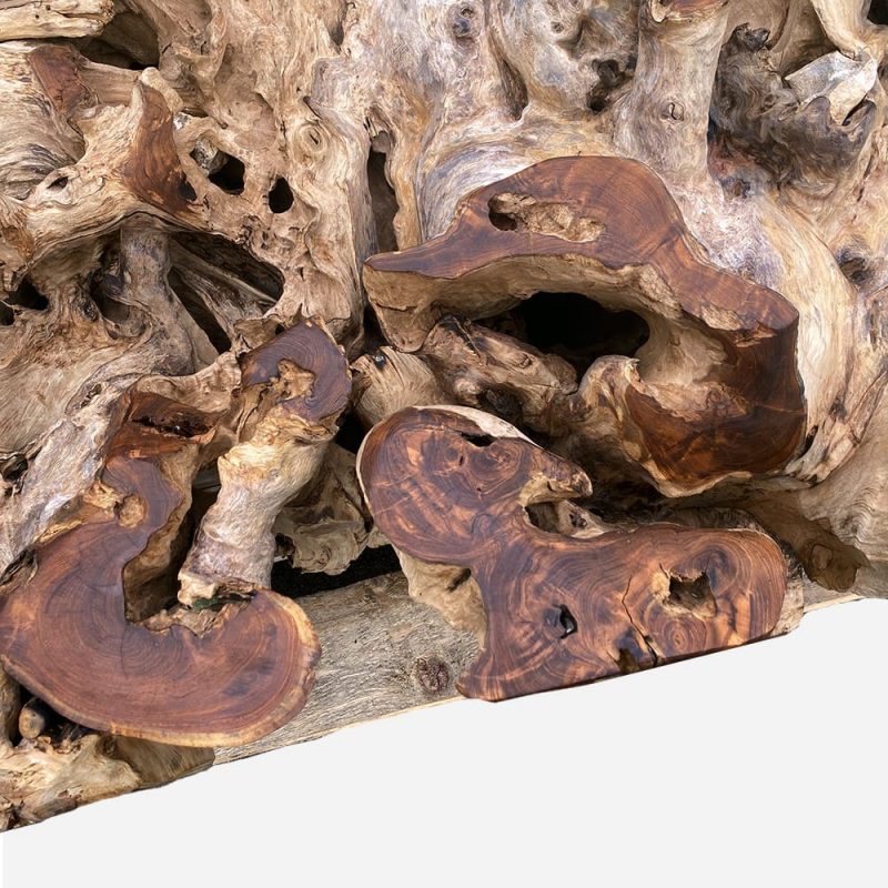 Couchtisch Wohnzimmertisch Wurzeltisch Massivholz Teak Detailansicht